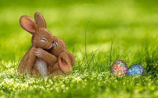 two brown rabbits on green grass with easter eggs during daytime HD wallpaper