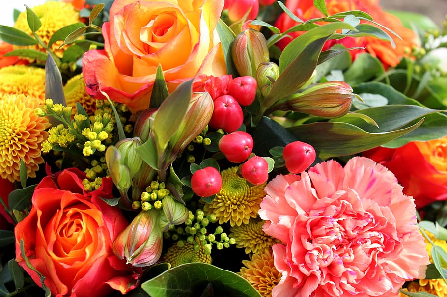 organge, flowers, bouquet, spring, flowering plant, beauty in nature HD wallpaper