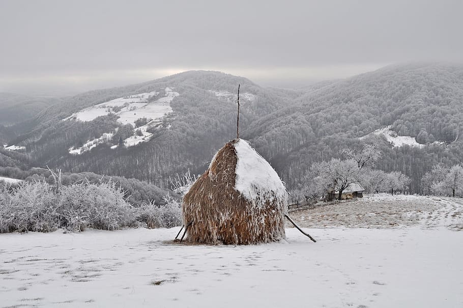 snow, winter, mountain, landscape, nature, outdoors, cold temperature HD wallpaper