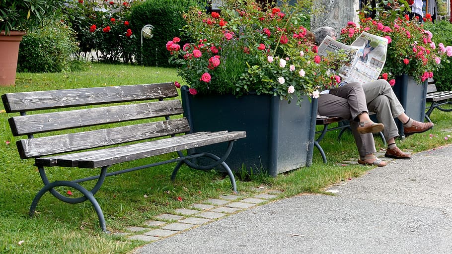 two persons reading newspaper while sitting on bench, information