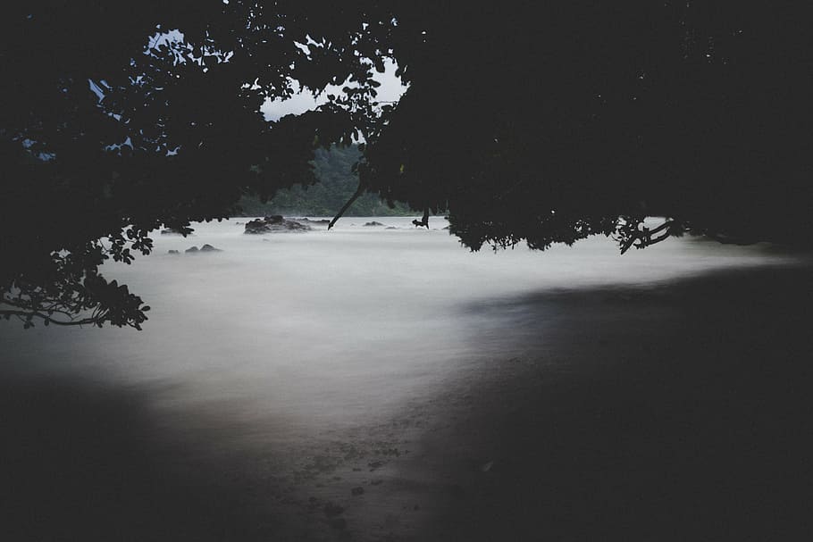 beach, ocean, sand, sea, seascape, seashore, silhouette, trees HD wallpaper