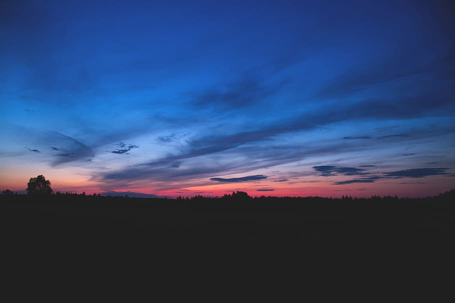 nature, landscape, forest, trees, sky, clouds, horizon, shadows HD wallpaper