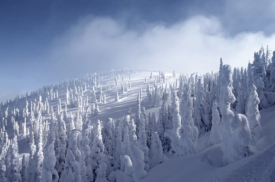 snow, winter, cold, weather, nature, outdoor, travel, mountain HD wallpaper