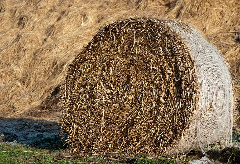 haystack, straw, agriculture, harvest, bale, rural Scene, farm HD wallpaper