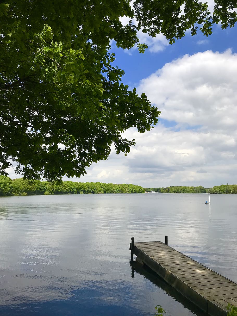 water, lake, tree, nature, reflection, river, wood, landscape HD wallpaper