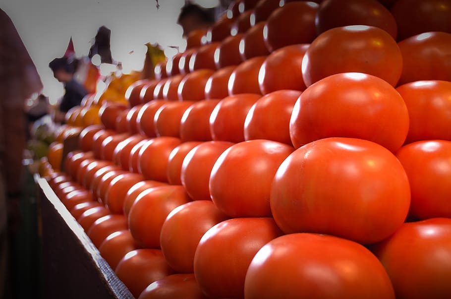 tomatoes, vegetables, market, in a row, order, large group of objects HD wallpaper