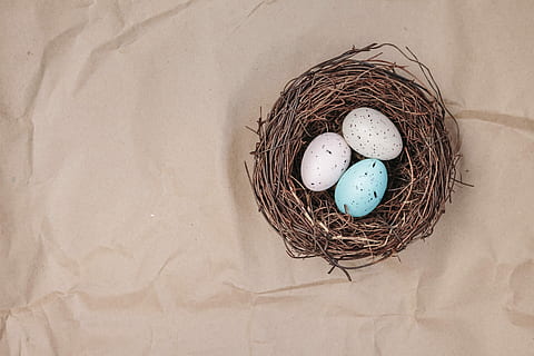 two white and one blue eggs on nest, easter, easter nest, background HD wallpaper