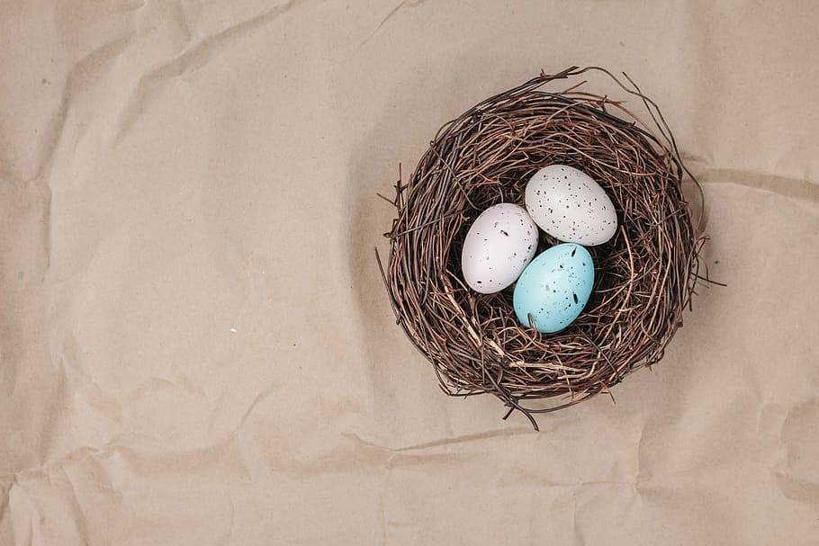 two white and one blue eggs on nest, easter, easter nest, background