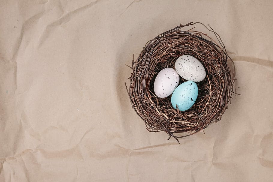 two white and one blue eggs on nest, easter, easter nest, background HD wallpaper