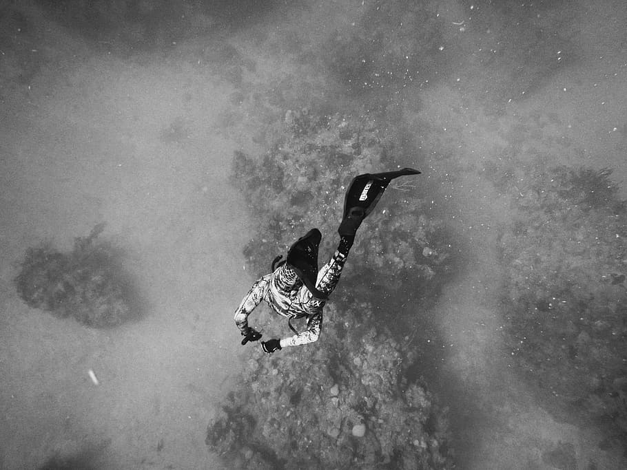scuba, diving, sea, ocean, underwater, adventure, real people HD wallpaper