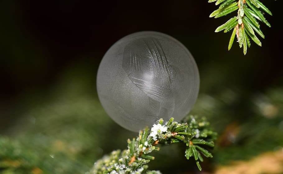 bubble, soap bubble, frozen, winter, cold, ice, frozen bubble HD wallpaper