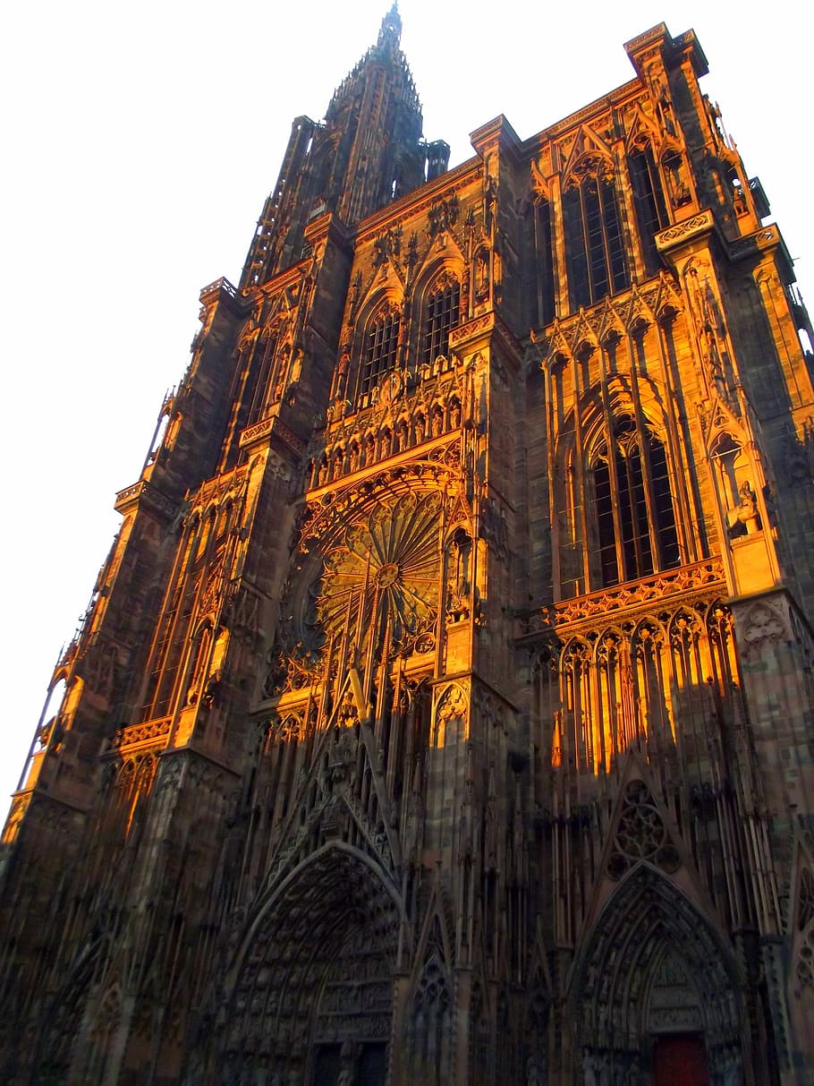Strasbourg, Cathedral, Cathedral, Architecture, history, low angle view HD wallpaper