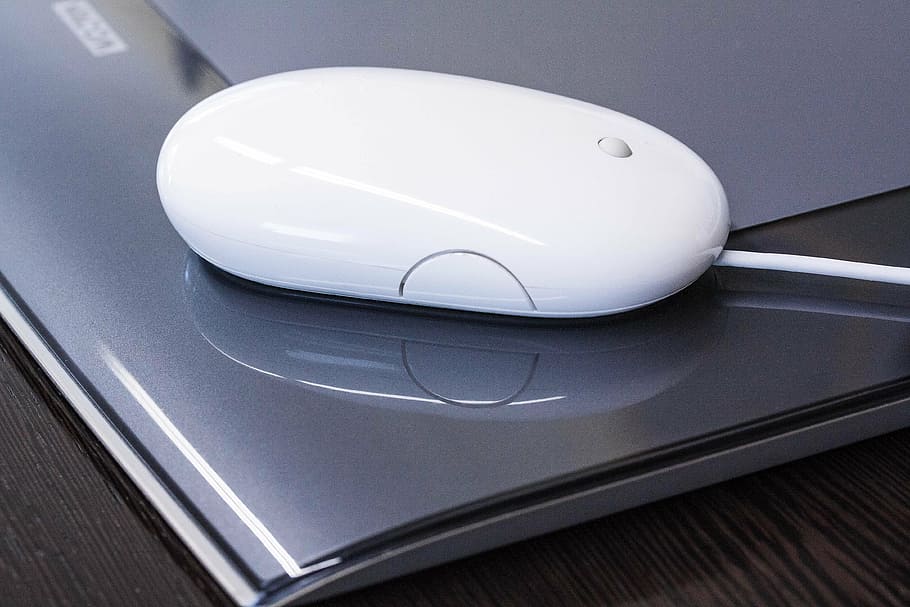 designer, graphic design, mouse, apple, graphics tablet, digital HD wallpaper