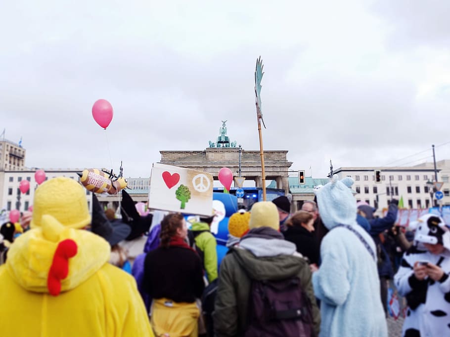 group of people during daytime, crowd, demonstration, march HD wallpaper