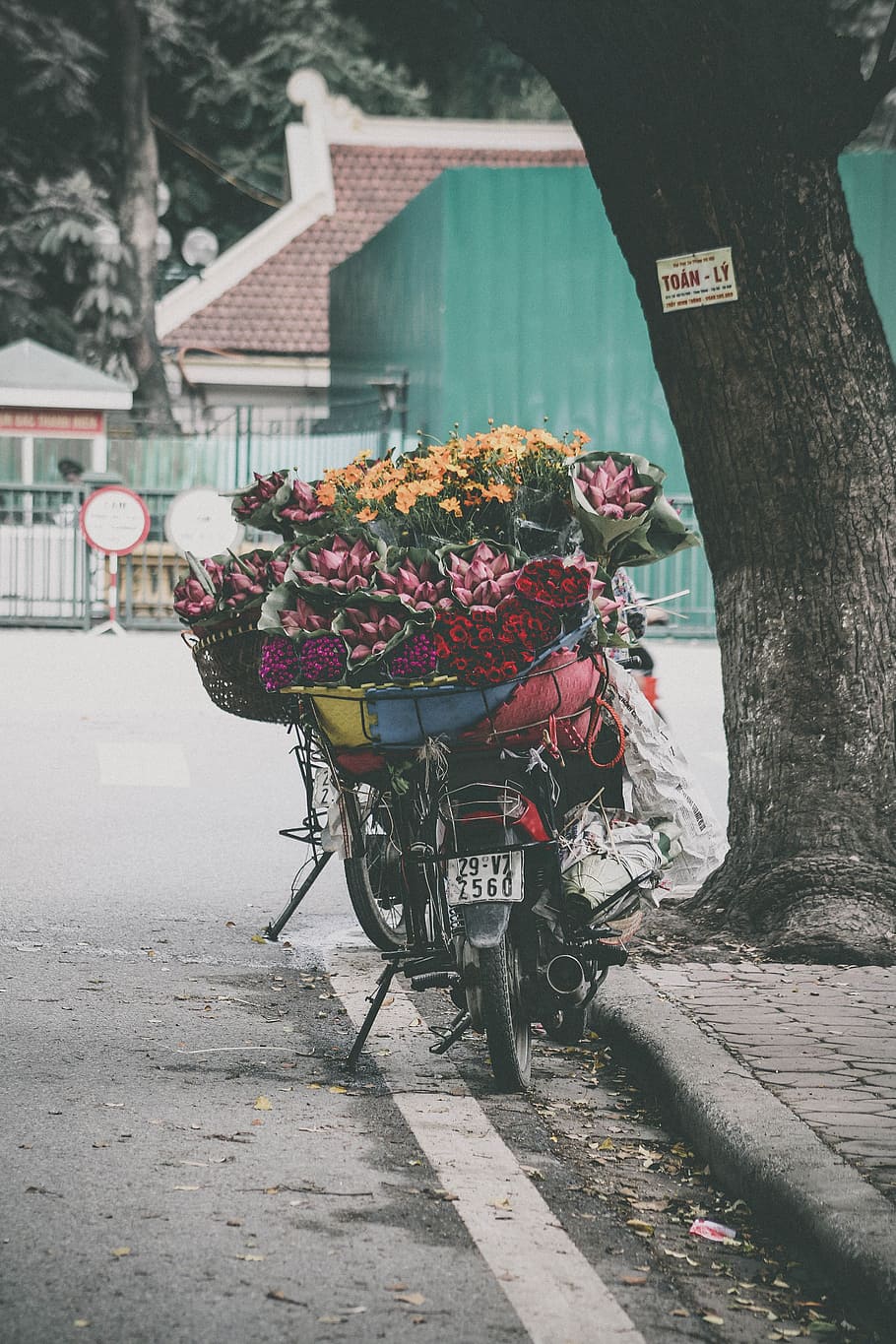 assorted-color petaled flower lot on top motorcycle, flowers basket on motorcycle outdoor HD wallpaper