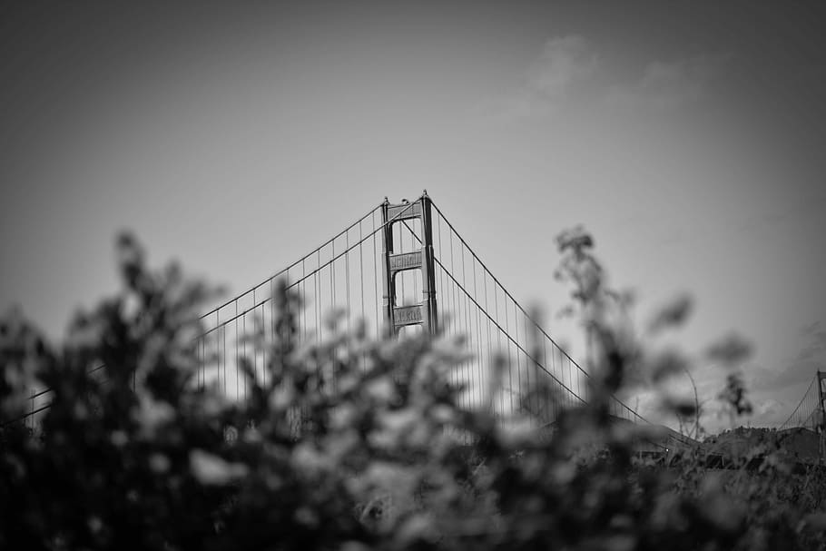 gray bridge grayscale photo, grayscale photgraphy of Golden Gate Bridge, San Francisco, HD wallpaper