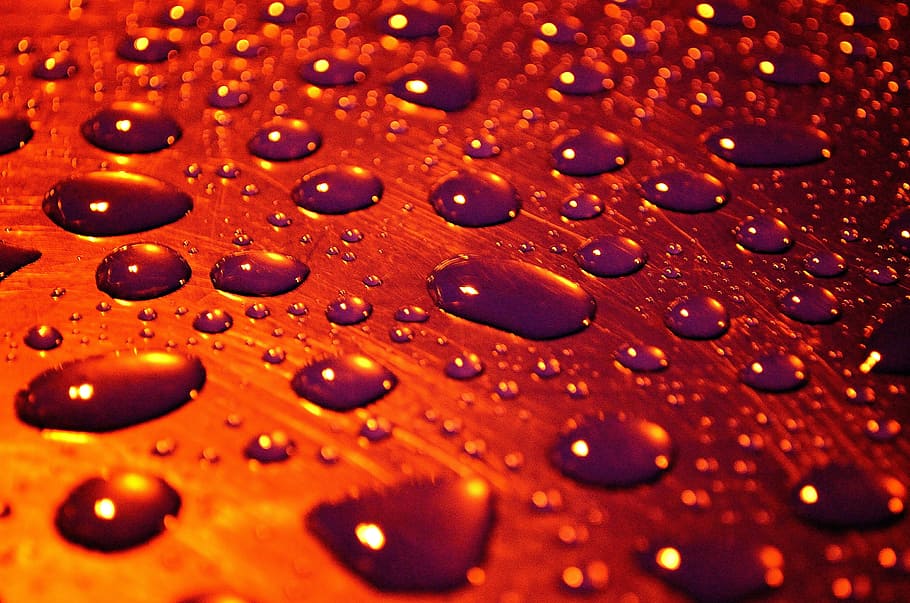 Drops, Background, Seasons, Water, rain, macro, backgrounds HD wallpaper