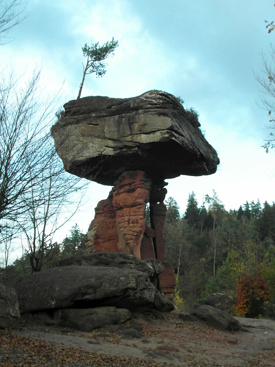 devil's table, palatinate, sand stone, sandstone rock, autumn HD wallpaper