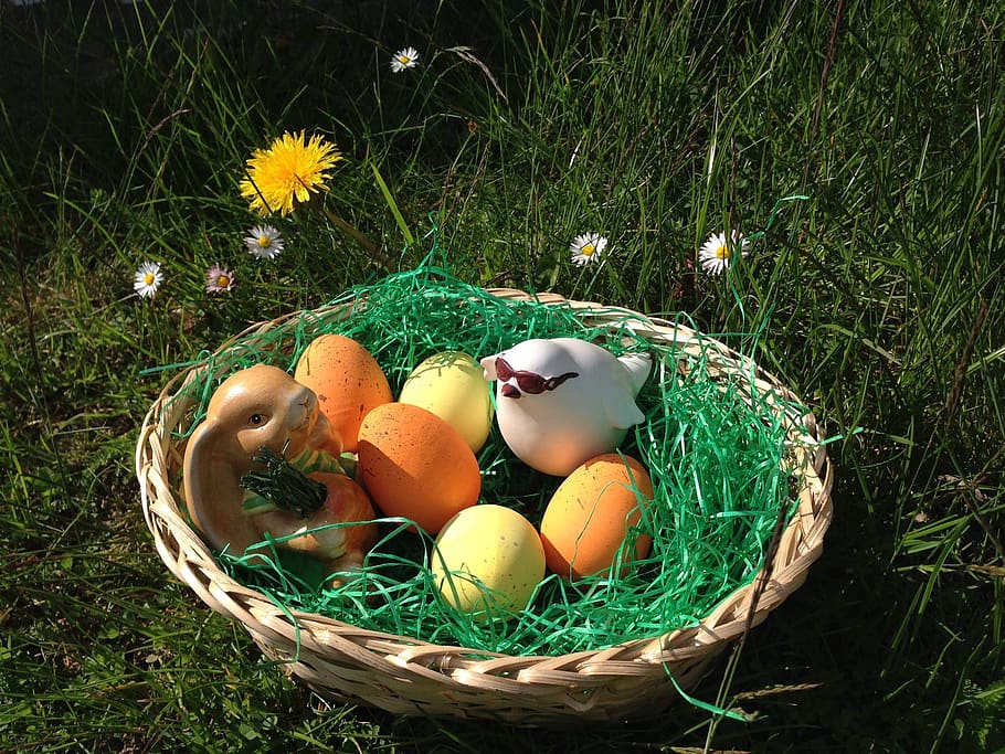basket, easter, grass, nest, nature, egg, easter egg, food HD wallpaper