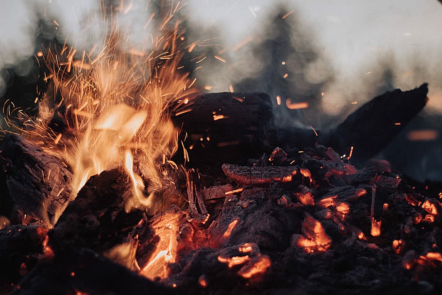 tilt-shift lens photography of fire ember, bon fire, campfire HD wallpaper