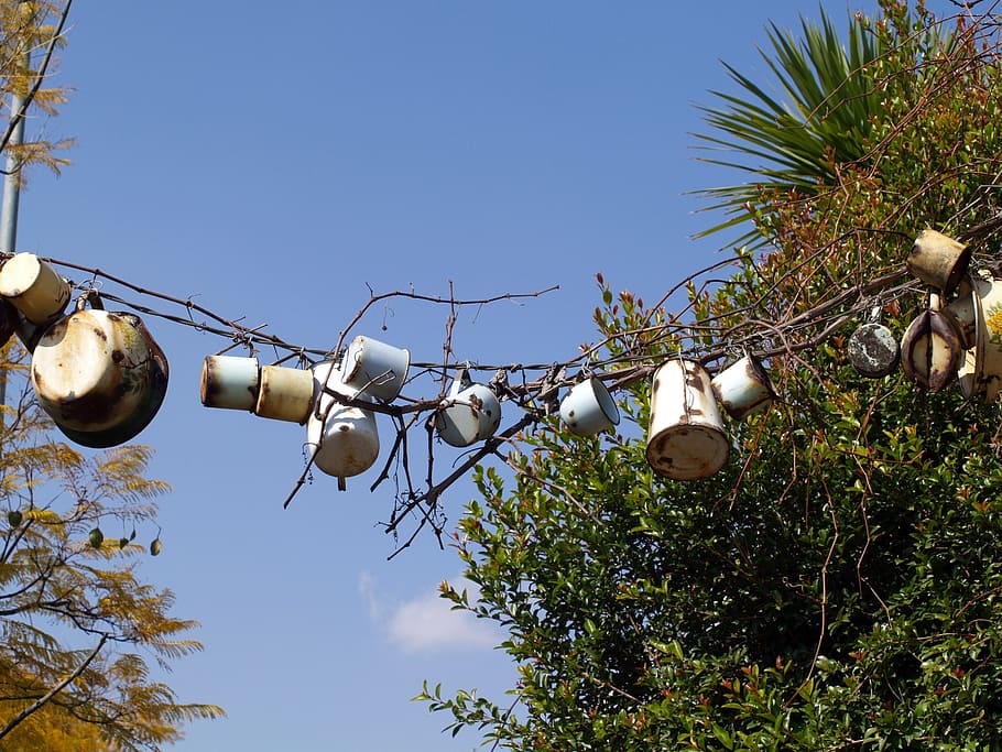 creativity, enamelware, ideas, sky, low angle view, plant, tree HD wallpaper