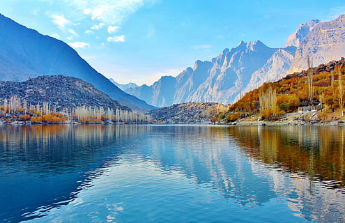 brown trees with lake during daytime, blue ocean, photography HD wallpaper