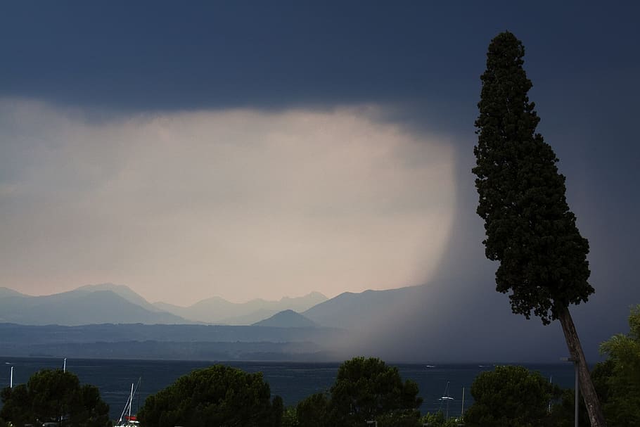 green tall trees, storm, lake, mountains, forward, rain, regenwand HD wallpaper