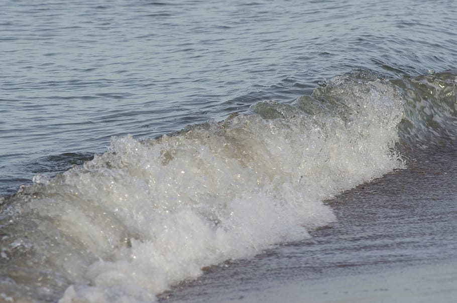 surf, wave, spray, sea, baltic sea, foam, water, motion, sport HD wallpaper