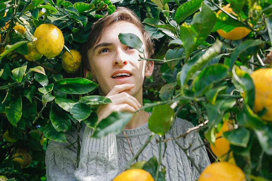 man holding his jaw surrounded by yellow fruit, man standing near lemon plant HD wallpaper