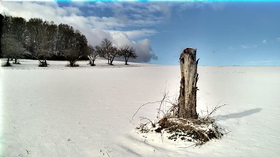 winter, snow, schneelanschaft, rest, winter sun, cold, white HD wallpaper