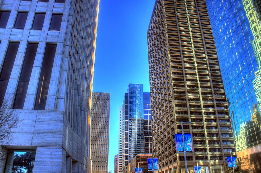 high-rise buildings ahead, houston, texas, usa, skyscraper HD wallpaper