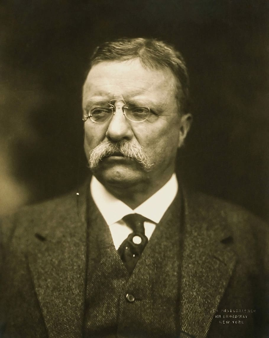 Theodore Roosevelt Portrait, history, president, public domain