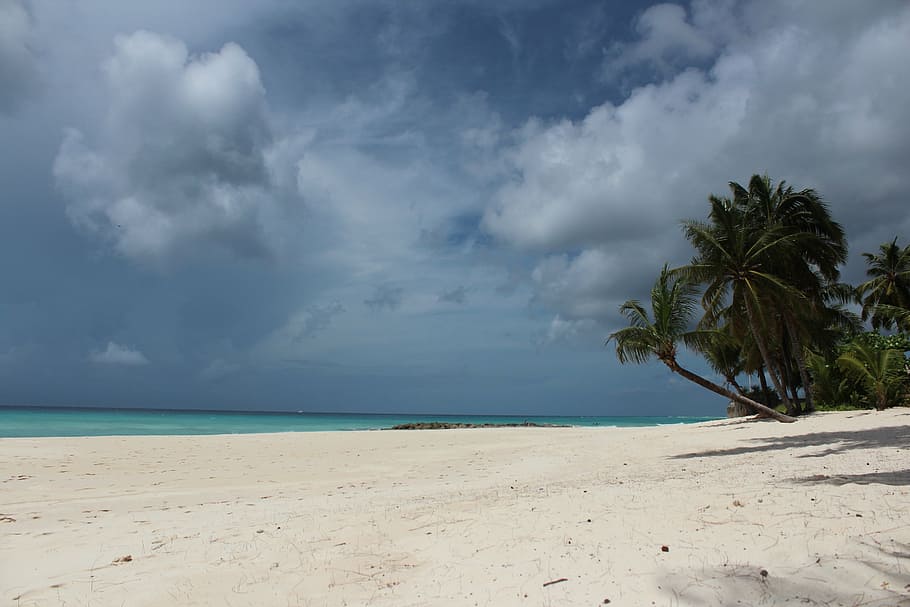 caribbean, mar, sol, sand, beach, nature, beira mar, landscape HD wallpaper