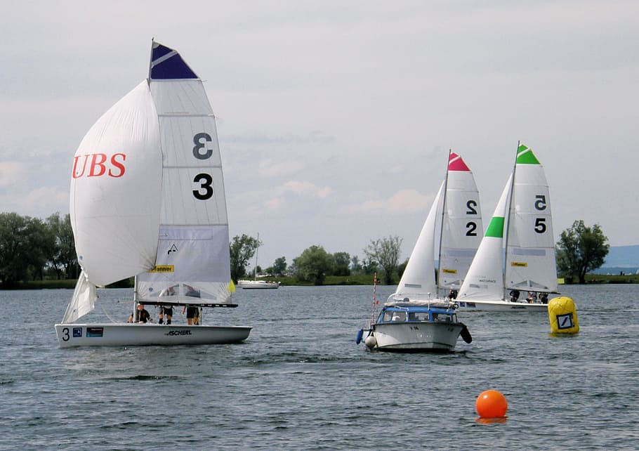sail, regatta, competition, team, championship, team sport HD wallpaper