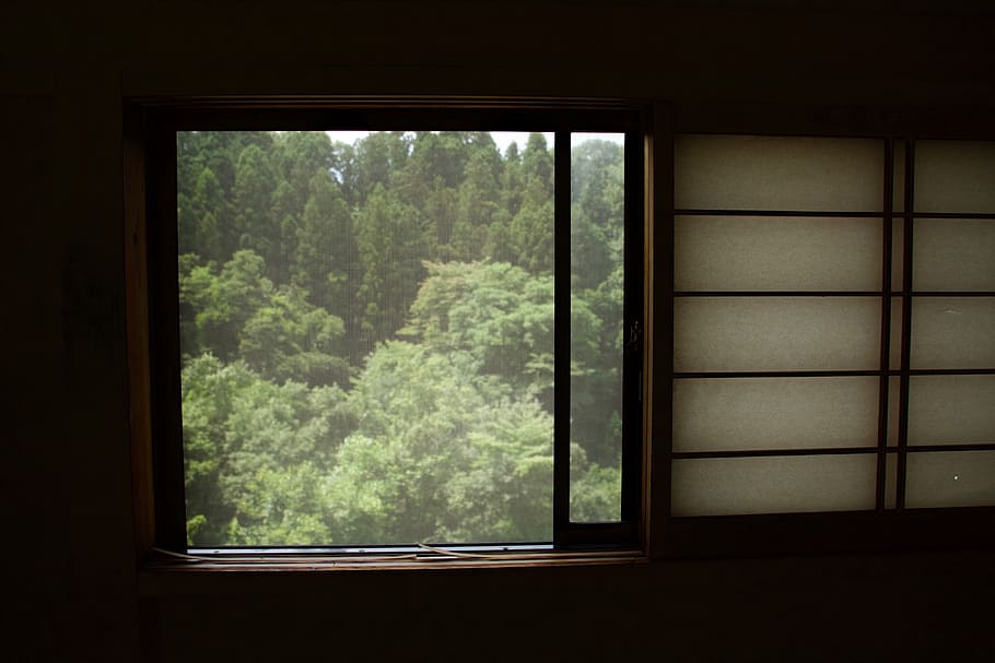 window, nature, trees, green, mountain, woods, indoors, no people HD wallpaper