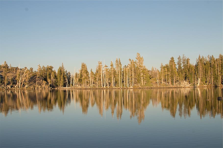 lake, water, reflection, trees, forest, tranquility, plant HD wallpaper
