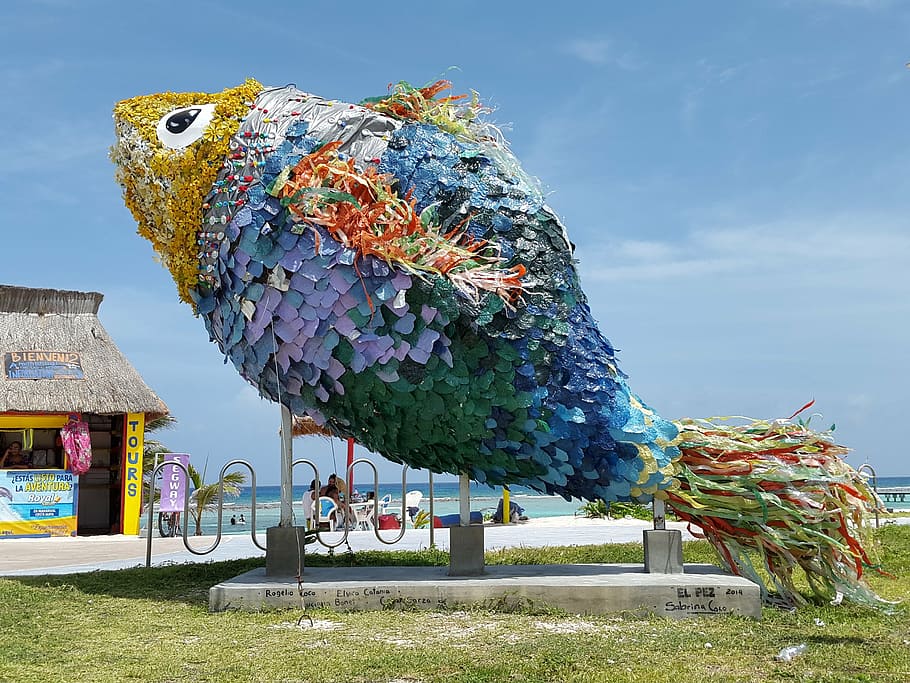 fish, statue, roo, majahual, mexico, sky, nature, architecture HD wallpaper