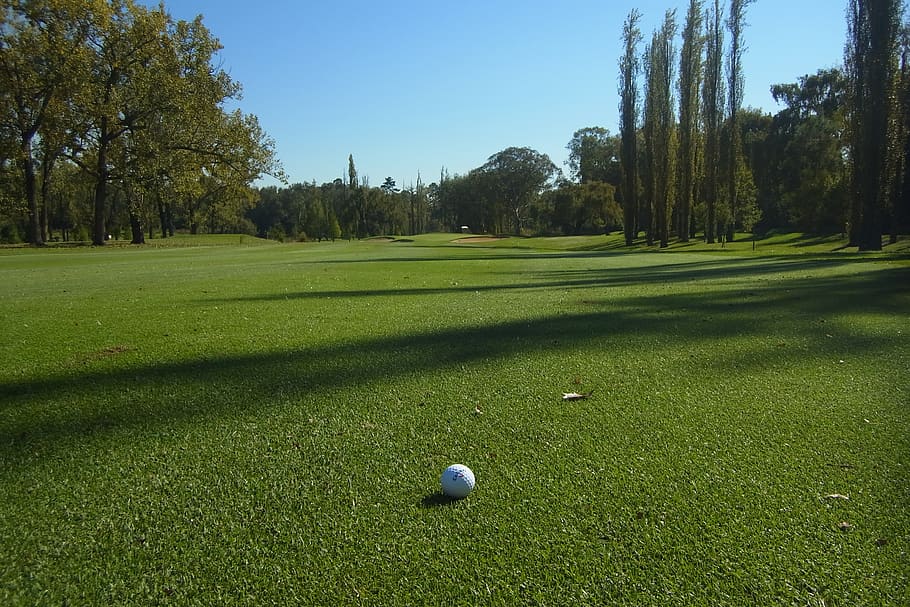golf, golf course, golfball, green, plant, green color, grass, HD wallpaper