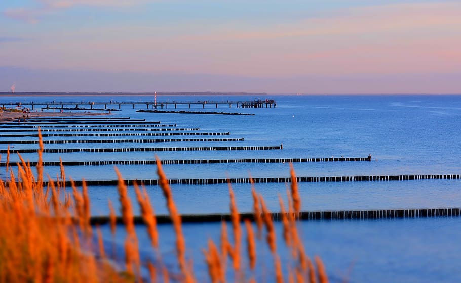 waters, sea, reflection, sky, nature, blue hour, sunset, horizon HD wallpaper