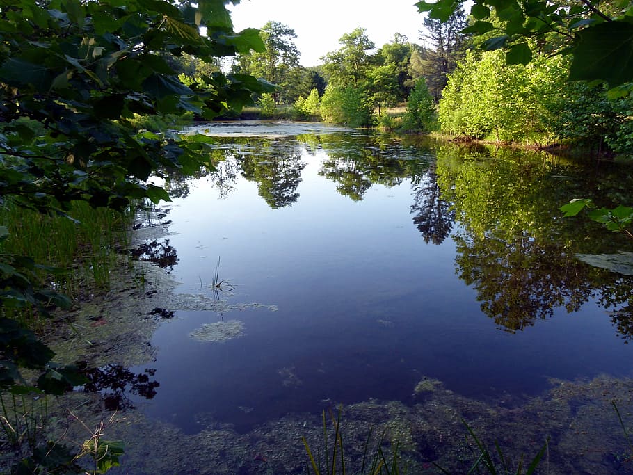lake, reflection, trees, water, nature, landscape, sky, pond HD wallpaper