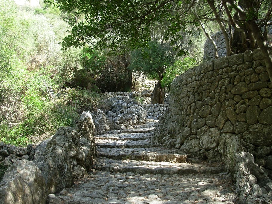 empty pathway in between trees, stones, hiking, mallorca, architecture HD wallpaper
