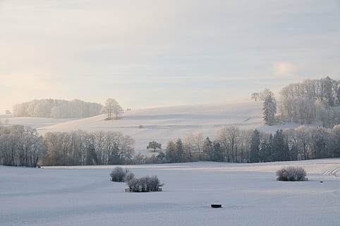 snow covered grounds, white snow field, photo, snowy, plains HD wallpaper