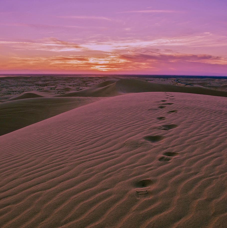 desert scenery with footprint trails, sand, dune, beach, footprints HD wallpaper