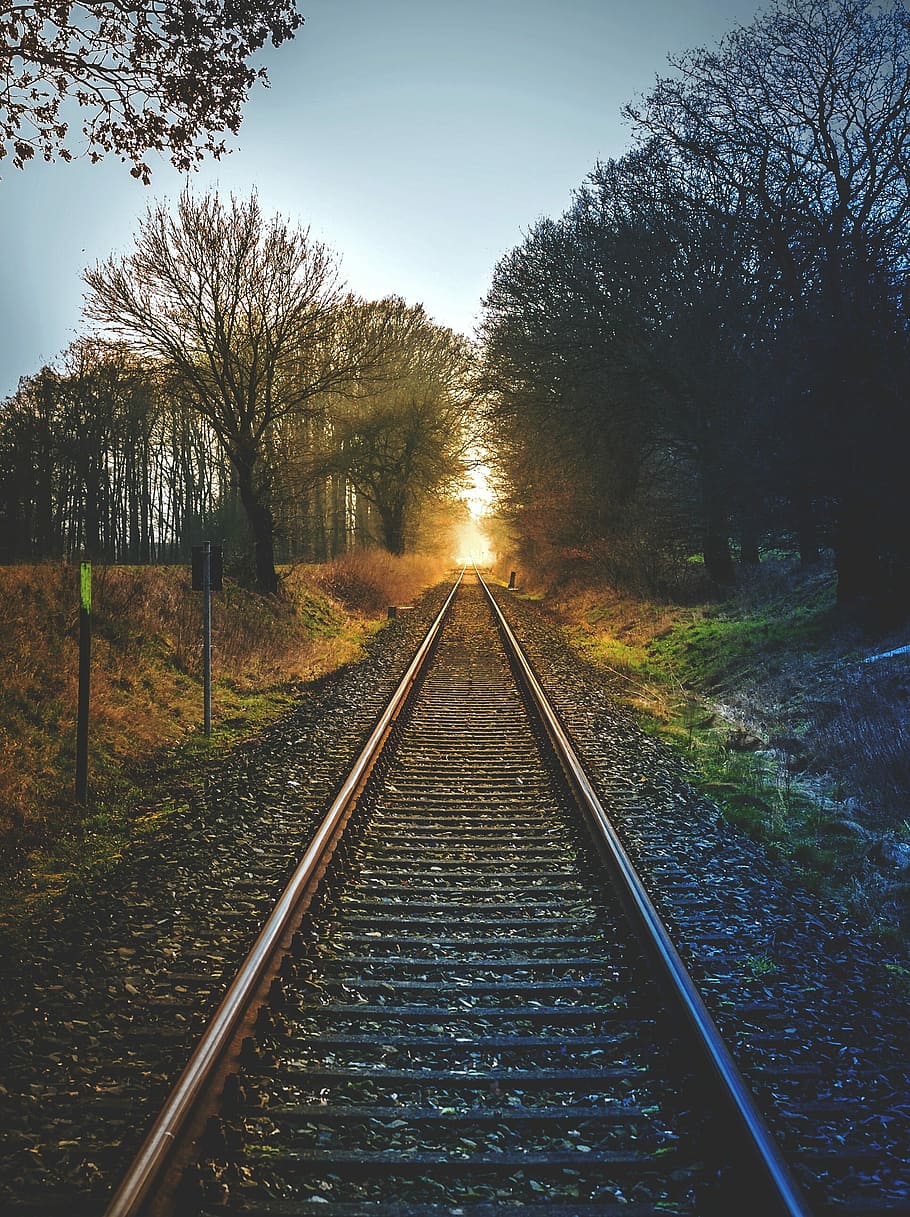 train railway between withered trees, railway line, the way forward HD wallpaper