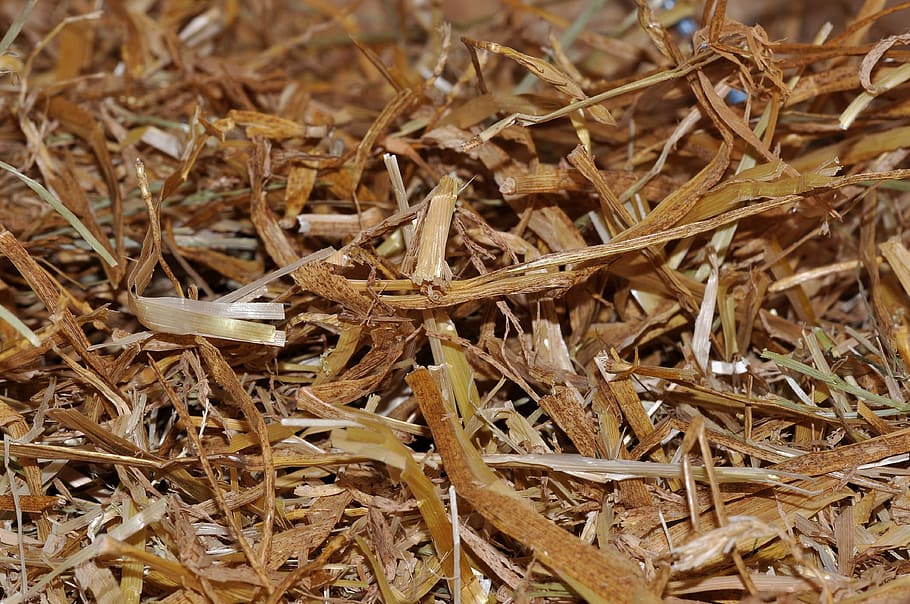 straw, litter, natural material, close, texture, close-up, brown HD wallpaper