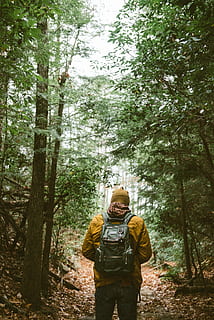 man walking on pathway, orange, jacket, woods, backpack, people HD wallpaper