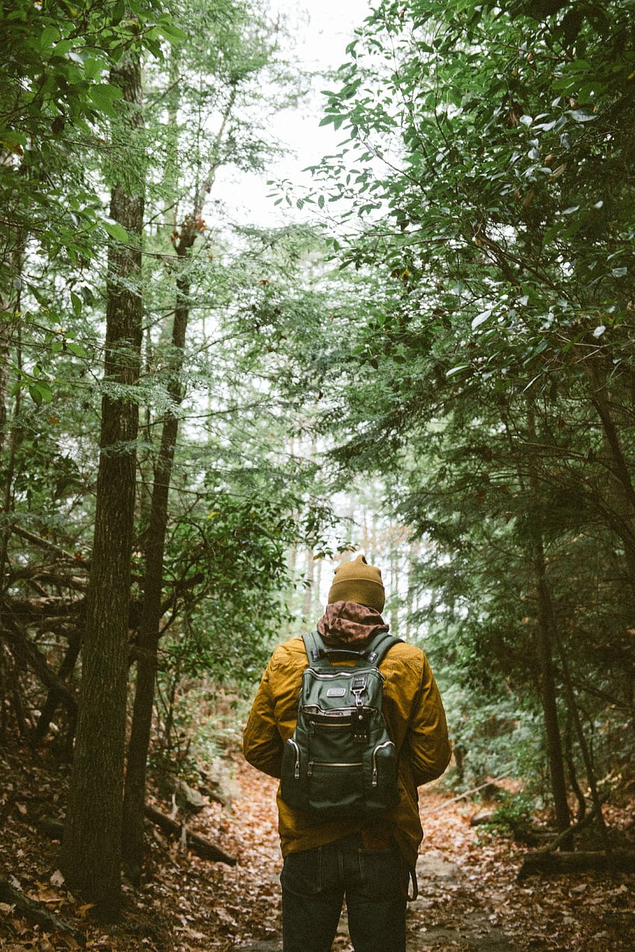 man walking on pathway, orange, jacket, woods, backpack, people HD wallpaper