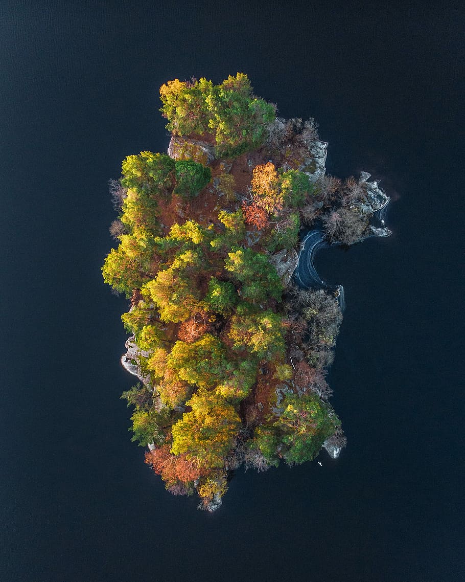 foretrække transmission udstødning HD wallpaper: aerial photo of island, top view of small island with trees  during daytime | Wallpaper Flare