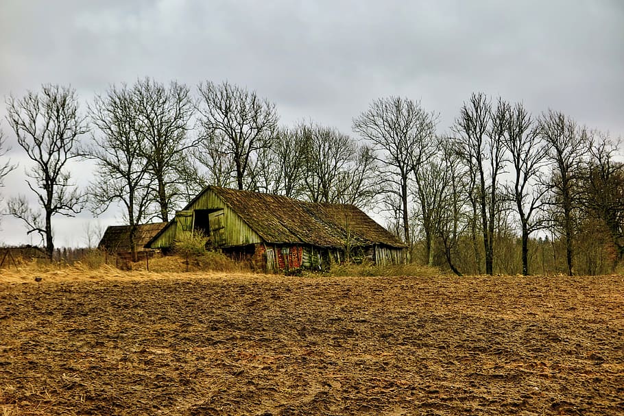 old, barn, landscape, spring, abandoned, built structure, architecture HD wallpaper