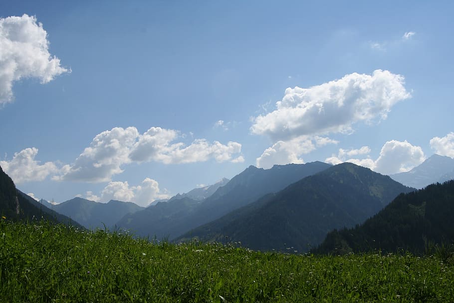 alpine, mountain meadow, summer, mountains, nature, outdoors HD wallpaper
